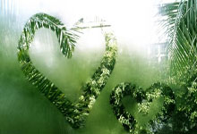 乌拉圭为何不与中国建交？事实是，乌拉圭早已与中国建交！